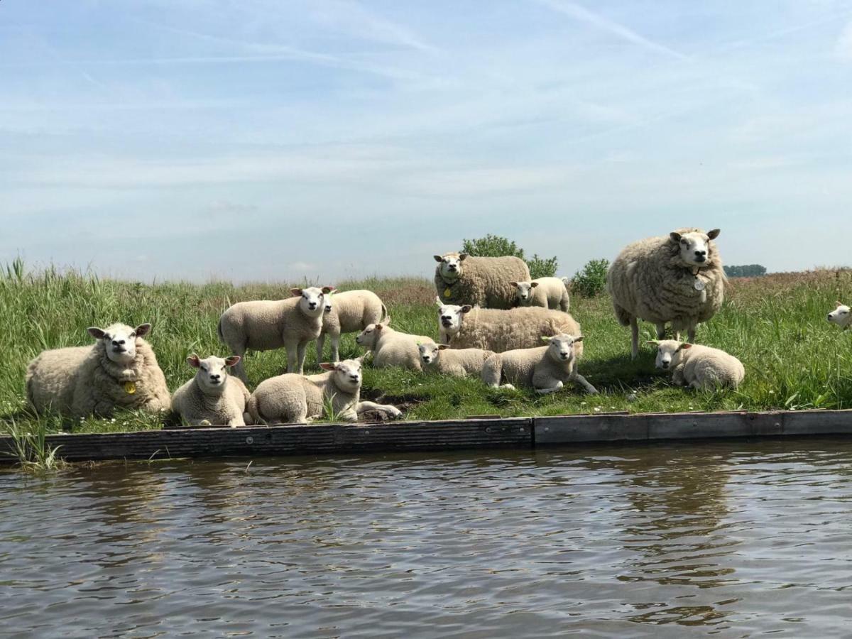 GrootschermerPaleis Noordeindeアパートメント エクステリア 写真